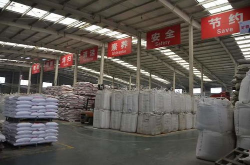 無抗時代新篇章 普愛集團(tuán)教槽料研發(fā)首創(chuàng)客制化地坪材料的創(chuàng)新融合